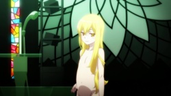 Girls of The Monogatari Series