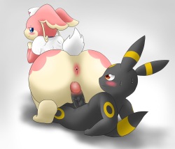 Audino's Service