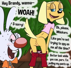 Brandy & Mr. Whiskers