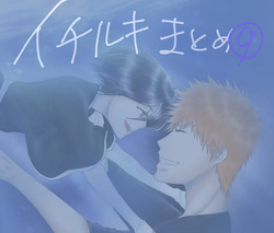 Ichiruki matome ⑨.