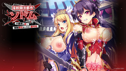 The lewd martial arts city of Sodom ~A holy warrior princess impregnated in front of a large audience~