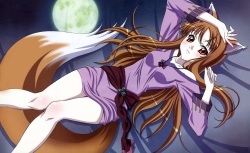 spice and wolf