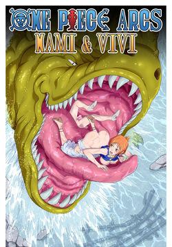 One Piece Arcs: Nami & Vivi