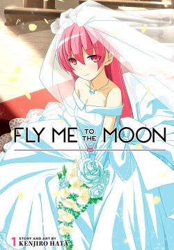 Fly Me To The Moon