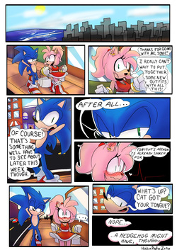 Sonic x Amy