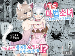 TS Mahou Shoujo Chevalier-chan to Sono Nakama wa Mesu ni Otosarete Mou Otoko ni Modorenai tte Maji desu ka!? | TS 마법소녀 슈발리아 짱과 그 동료는 암컷으로 타락해서 더는 남자로 돌아갈 수 없는 게 사실인가요!?