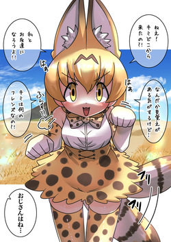 Serval Rape