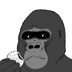 Goma Gorilla